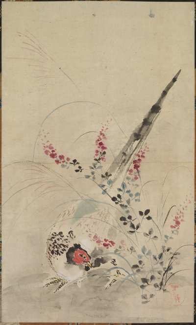 キジと草、17世紀後半から18世紀初頭。 作： Ogata Korin
