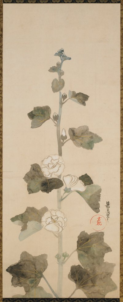 白葵 江戸時代・17世紀後半～18世紀前半。 作： Ogata Korin