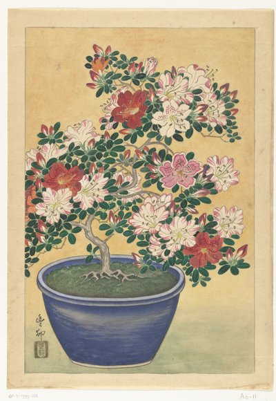 青い鉢に咲くツツジ 作： Ohara Koson (signed by artist)