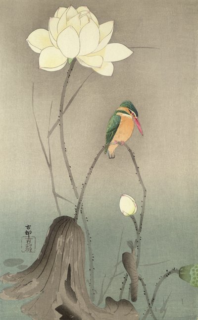 カワセミとハス、1910年頃、 作： Ohara Koson