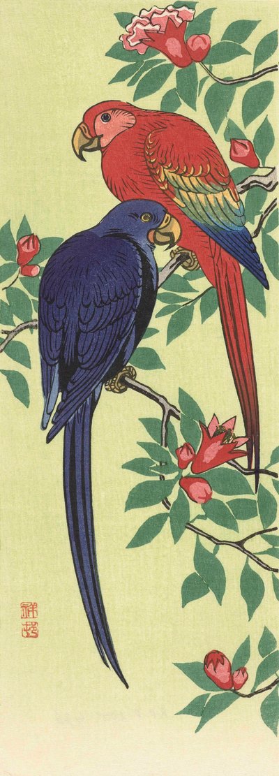 日本のアーティスト、小原古邨による赤と青のオウム 作： Ohara Koson
