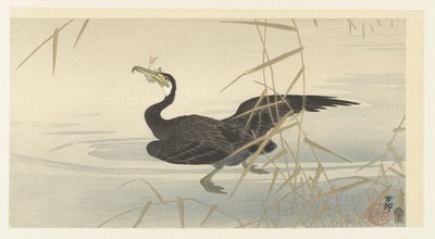 鵜と魚 作： Ohara Koson