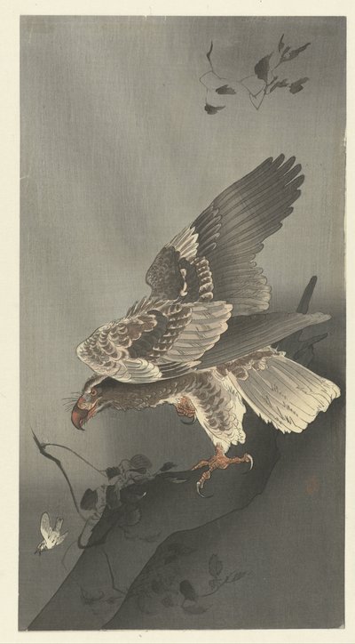 獲物を狙うワシ 作： Ohara Koson