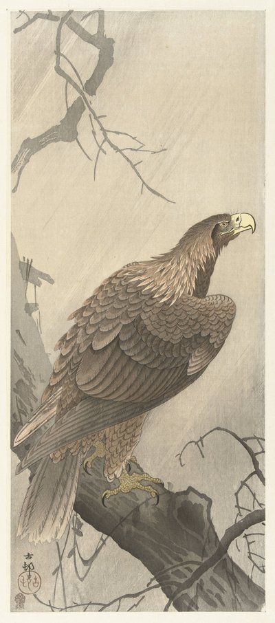 木の枝にワシ 作： Ohara Koson