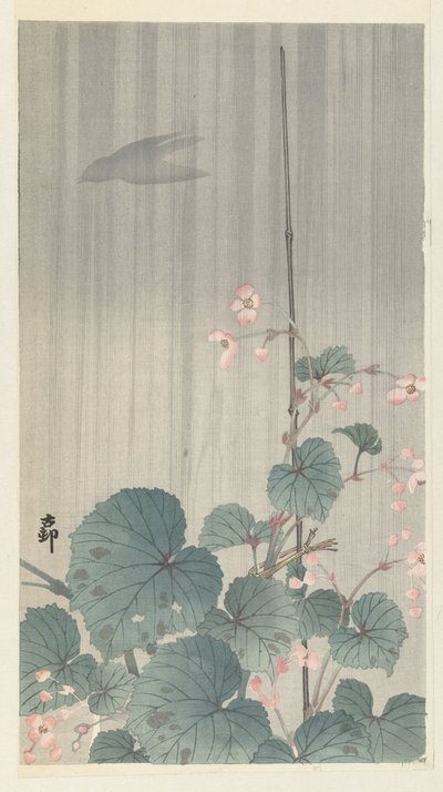 雨のベゴニア 作： Ohara Koson