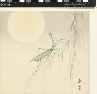 カマキリ 作： Ohara Koson