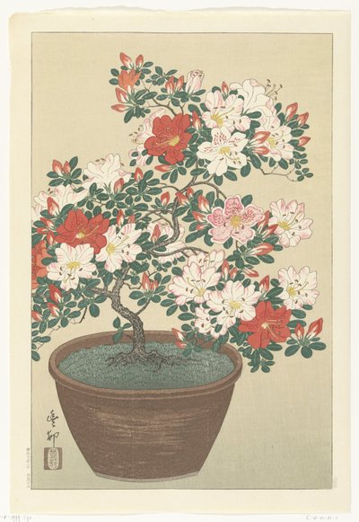 茶色の鍋に咲くツツジ 作： Ohara Koson