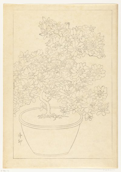 鉢植えツツジ 作： Ohara Koson