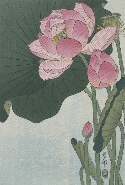 咲く蓮の花、1920-30（色の木版画） 作： Ohara Koson