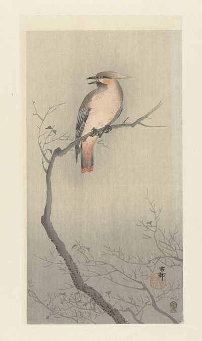 枝の上のヒヨドリ 作： Ohara Koson