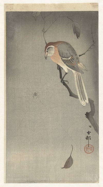モズとクモ 作： Ohara Koson