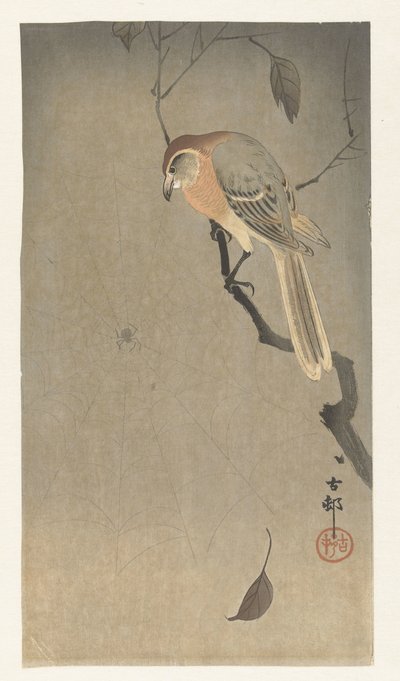 モズとクモ 作： Ohara Koson