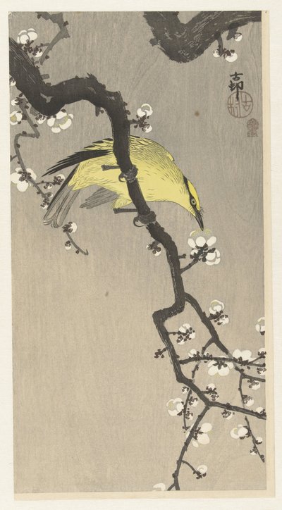 梅の花の枝に中国オリオール 作： Ohara Koson
