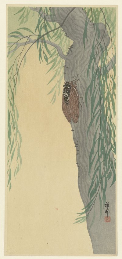 木の上のセミ 作： Ohara Koson