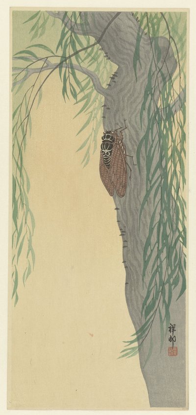木の上の蝉 作： Ohara Koson