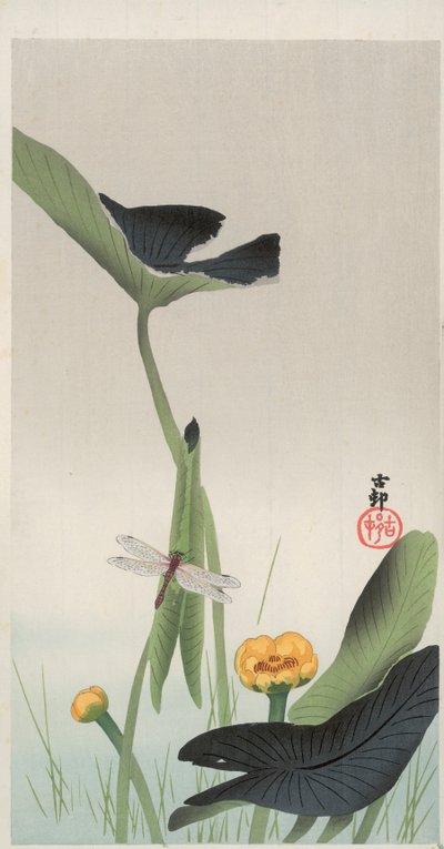 トンボとハス（カラー木版画 作： Ohara Koson