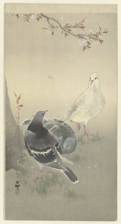 飼いならされた 3 羽のハト 作： Ohara Koson