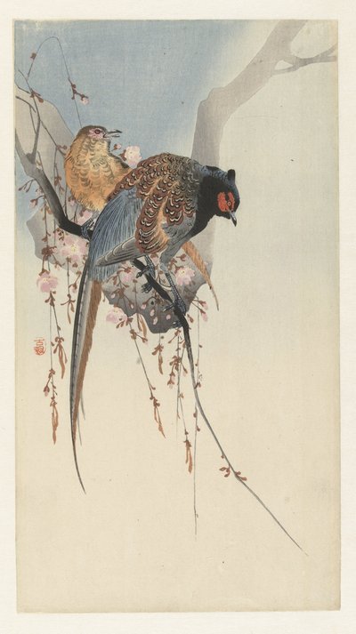 キジ夫婦と梅 作： Ohara Koson