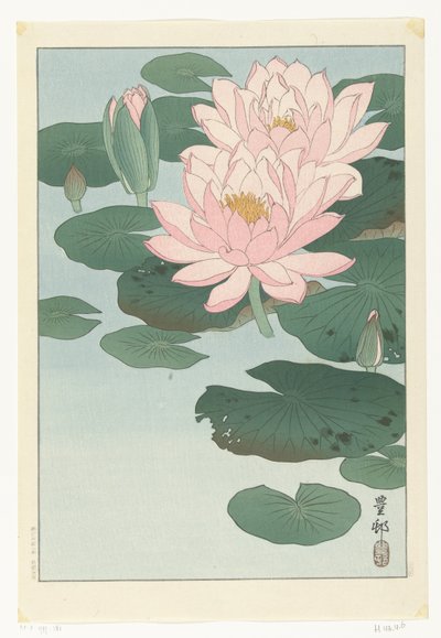 開花スイレン 作： Ohara Koson