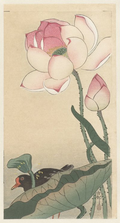 蓮の花とガリヌル 作： Ohara Koson