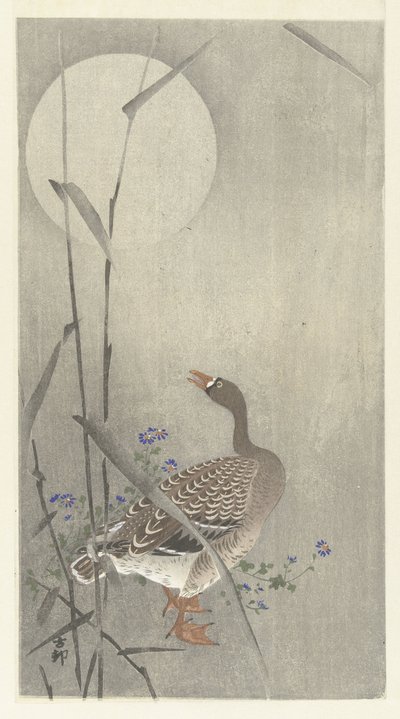 満月のガチョウ 作： Ohara Koson