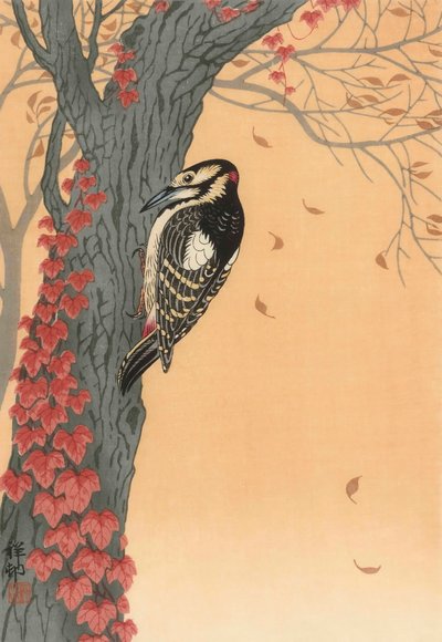 赤いツタのある木のアカゲラ、20世紀（日本語版画） 作： Ohara Koson