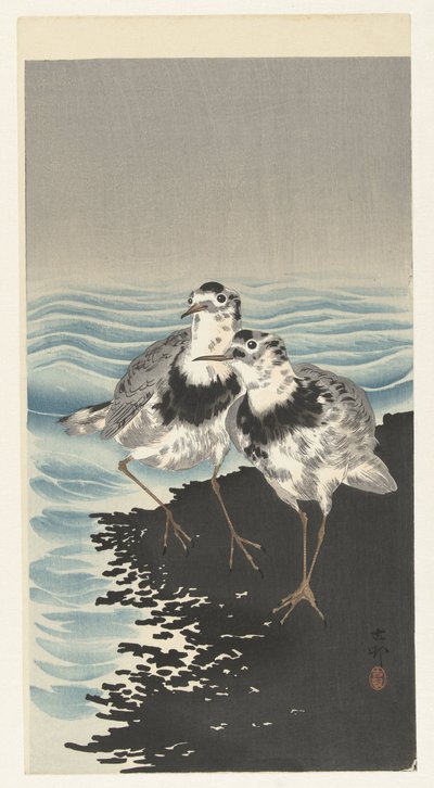 オオノットサンドパイパー 作： Ohara Koson