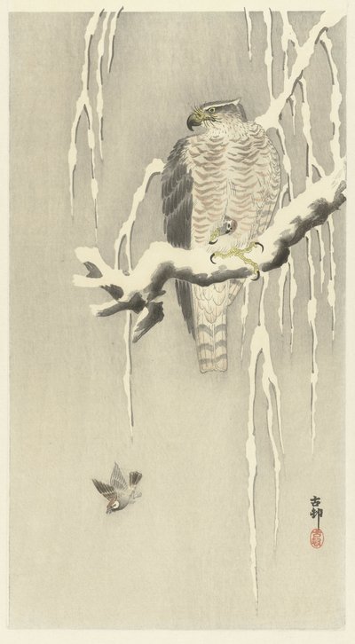 スズメを捕まえたタカ。 作： Ohara Koson