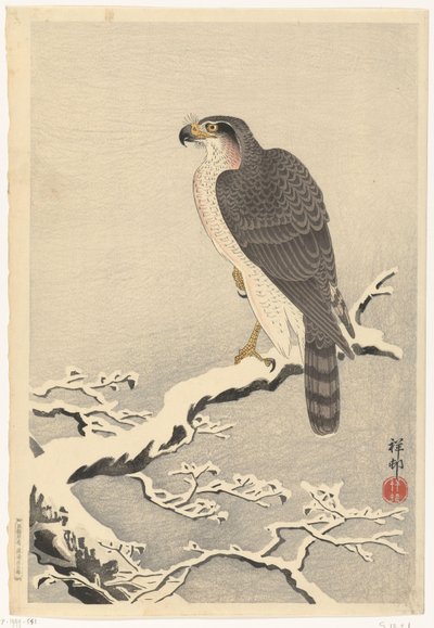 松の木の雪に覆われた枝の鷹 作： Ohara Koson