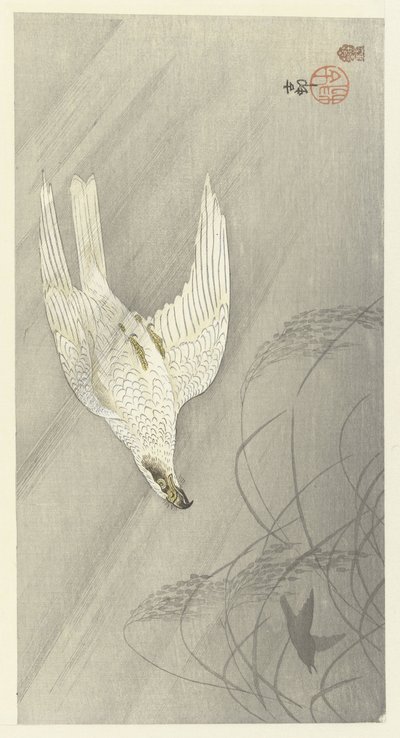 ハンティングホーク 作： Ohara Koson