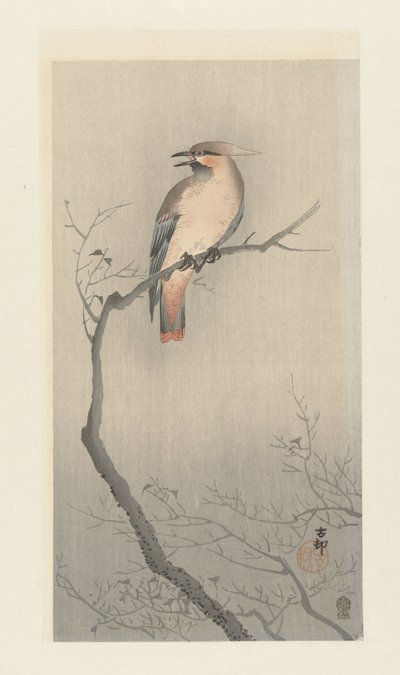枝にレンジャク鳥 作： Ohara Koson