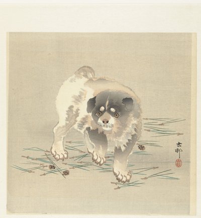 若い犬 作： Ohara Koson
