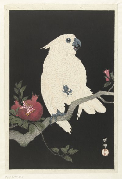 オウムとザクロ 作： Ohara Koson