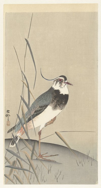 ラッピングと葦 作： Ohara Koson
