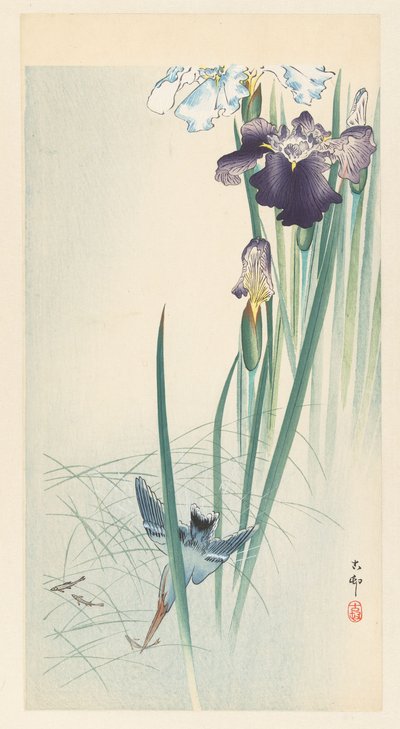カワセミと花菖蒲 作： Ohara Koson