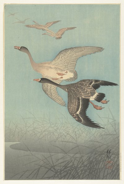 飛行中のマガン 作： Ohara Koson