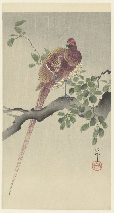 コペルファザント 作： Ohara Koson