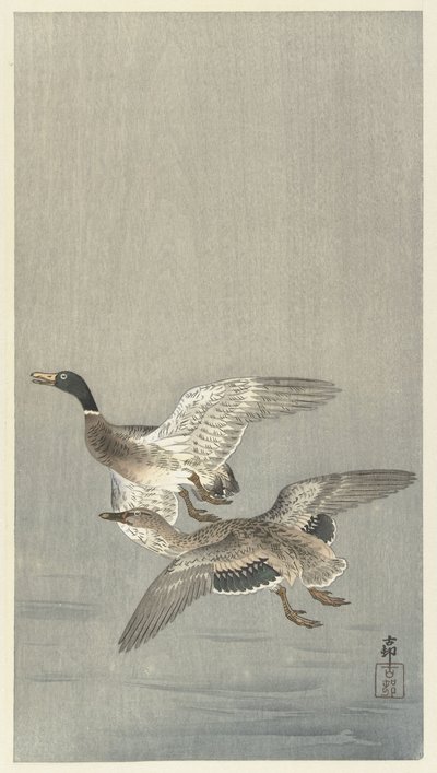 ペアのアヒル 作： Ohara Koson