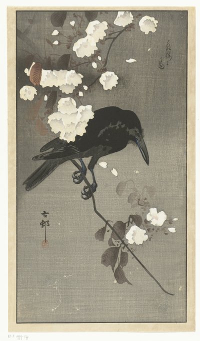 桜とカラス 花桜のとり 作： Ohara Koson