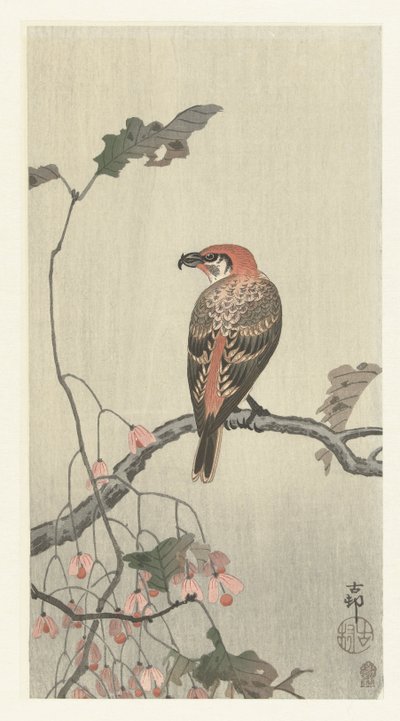木の枝にハシビロコウ 作： Ohara Koson