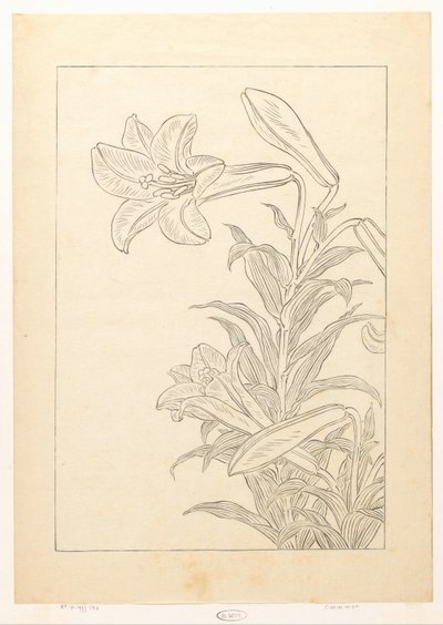レリーズ 作： Ohara Koson
