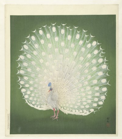 孔雀 作： Ohara Koson