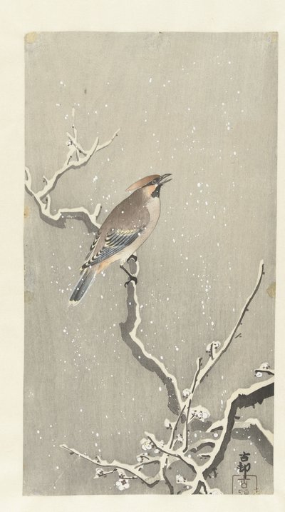 雪に覆われた枝にワックスウィングの鳥 作： Ohara Koson