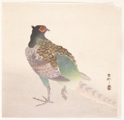 キジ（色木版画） 作： Ohara Koson