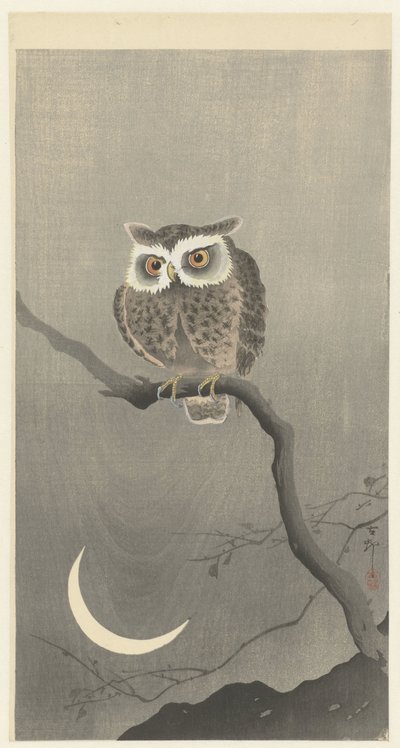 裸の木の枝にメンフクロウ 作： Ohara Koson