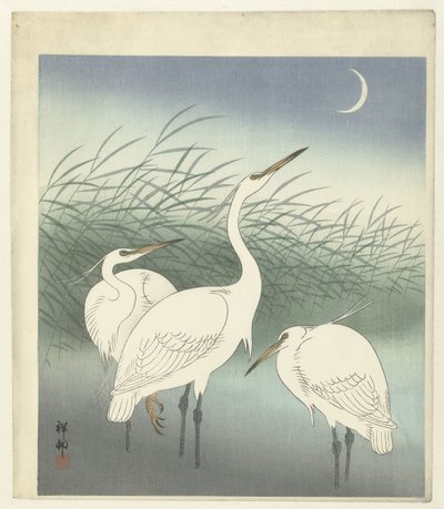 浅瀬のサギ 作： Ohara Koson