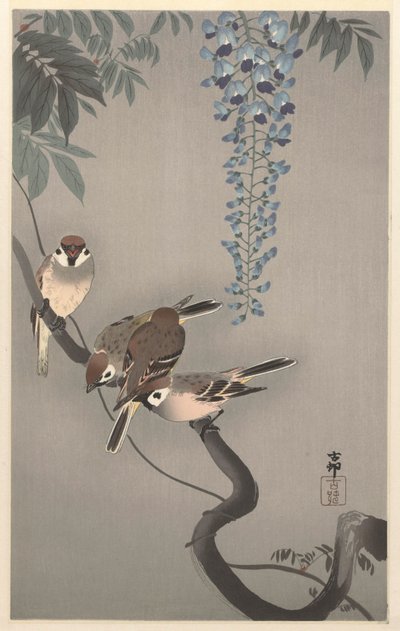 藤にすずめを鳴らす 作： Ohara Koson