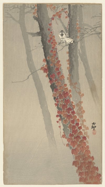 レッドアイビー 作： Ohara Koson