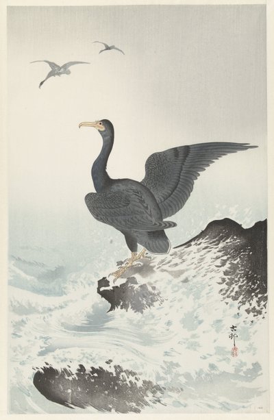 岩の上の赤面鵜 作： Ohara Koson