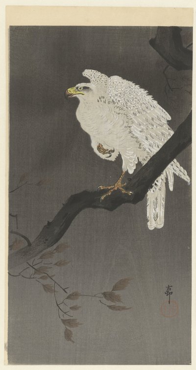 枝の上のユキワシ 作： Ohara Koson